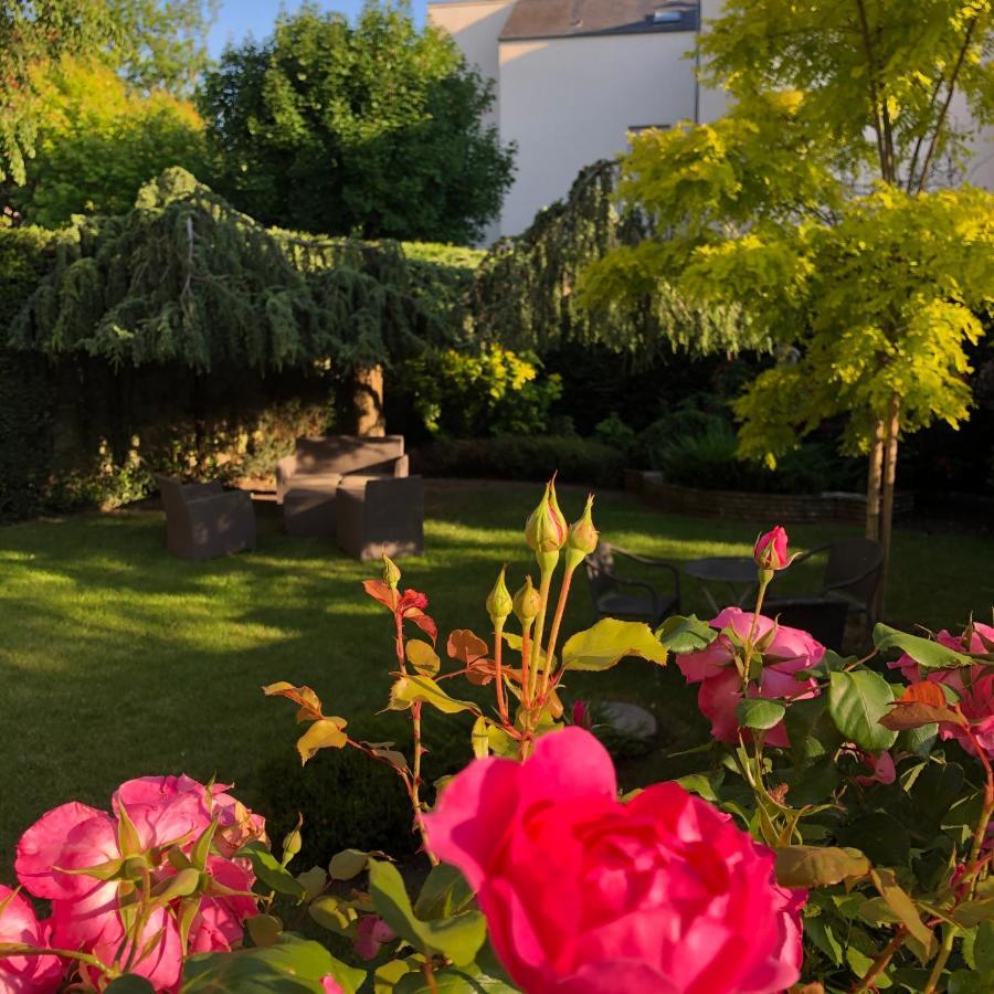 אורליאן Hotel Des Cedres מראה חיצוני תמונה